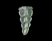 Jadeite (type-A) leaf