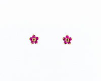 Ruby earrings